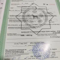 ۵ تن ماهی از بابل به ماری ترکمنستان