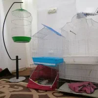 5 عدد قفس پرنده درحدنو|لوازم جانبی حیوانات|کرمان, |دیوار