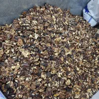 فروش گردوی تویسرکان|خوردنی و آشامیدنی|رشت, بلوار گیلان|دیوار