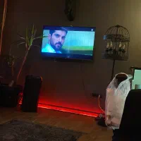 همخونه-خانم