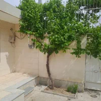 فروش-منزل-ویلایی