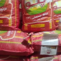 برنج هندی پلو