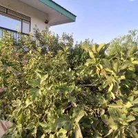 فروش باغ فول امکانات