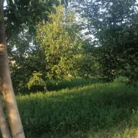 زمین وباغ سیمین زاغه
