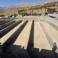 فروش-شیلات-ماهی