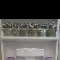 بانکه حبوبات وادویه|ظروف نگهدارنده، پلاستیکی، یکبارمصرف|کامیاران, |دیوار