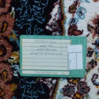 کارت موتور گمشده