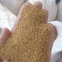 بذر یونجه سبز اندیشان