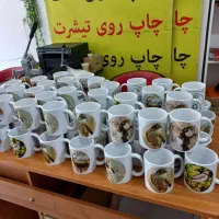 چاپ پرچم ساحلی ، پرچم ، پرچم رومیزی ،پرچم تشریفات|خدمات پیشه و مهارت|شیروان (خراسان), |دیوار