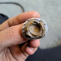 سنگ مهره هبهاب