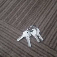 کلید  ‌پیدا کردم