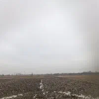 سرچینا کاه سراچینه
