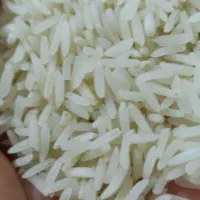 برنج روشن