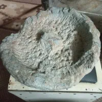 کسی اطلاعاتی داره ازش