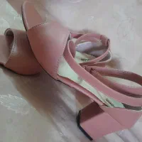 فروش کفش مجلسی|کیف، کفش، کمربند|گتوند, |دیوار