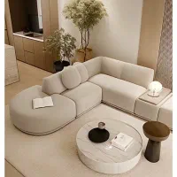 رویه کوب وزیرکارچی