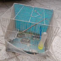 قفس ۳۹ در۲۸