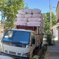 کاه گندم و کاهش جو تحویل درب انبار
