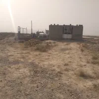 فروش باغ پسته ۱۵ ساله