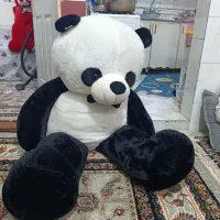 خرس پشمالووپاندا