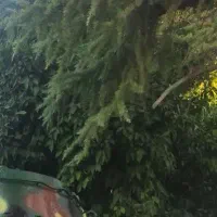 سفر گیلان