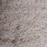 برنج سالم هاشمی شمال