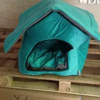 کلبه و ظرف گربه