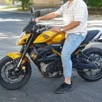 blenta z250