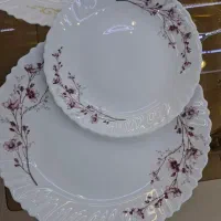 سرویس غذاخوری ارکوپال