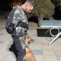 مربی سگ|خدمات آموزشی|اصفهان, جلفا|دیوار