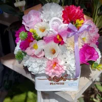 گل رز هلندی ۵۰