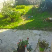 رهن-ویلای550متری-حیاط-دار-درمنطقه-زیبای-کلشتاجان