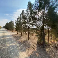 ۱،۴ هکتار زمین سند دار بر جاده سهیلیه