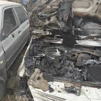 پارس تندر اسقاطی