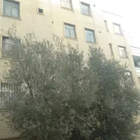 60متر-شهرک-فهمیده