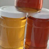 عسل طبیعی فیروزکوه