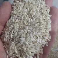 فروش برنج پاکستانی ۱میلیون روغن ۵ کیلو  قیمت ۴۵۰|خوردنی و آشامیدنی|تربت جام, یحیی آباد|دیوار
