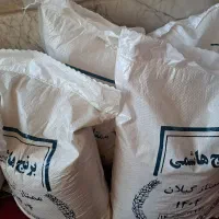 برنج هاشمی گیلان