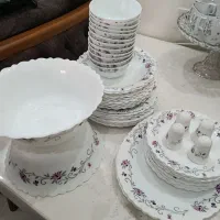 آرکوپال گل بنفش