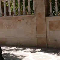 کاشی کاری وسرامیک وپله|خدمات پیشه و مهارت|شهرکرد, |دیوار