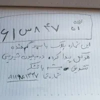شماره پلاک ایران۵۱ـ ۸۴۷س۶۱