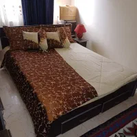 تختخواب دو نفره و تشک رویا طبی فنری در حد نو