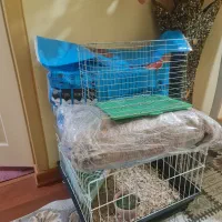قفس خرگوش و یونجه خشک