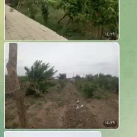 فروش-خانه-ویلای-2900متر