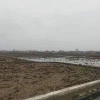 فروش زمین ۱۰۰۰ متری در سیاه اسطلخ|فروش زمین و ملک کلنگی|رشت, سیا اسطلخ|دیوار