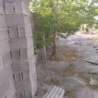 زمین-200-متری-مناسب-باغی