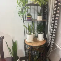 استند گل فرفورژه