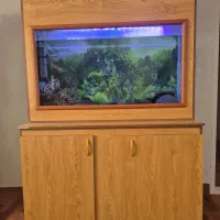 آکواریوم بزرگ|ماهی|کرمان, |دیوار