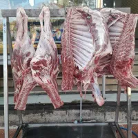 تهیه وتوضیع انواع گوشت گوسفند گوساله شتر شتر مرغ|خوردنی و آشامیدنی|شیراز, سیاه سنگ|دیوار