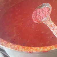 رب گوجه خانگی|خوردنی و آشامیدنی|قم, شهرک فاطمیه|دیوار